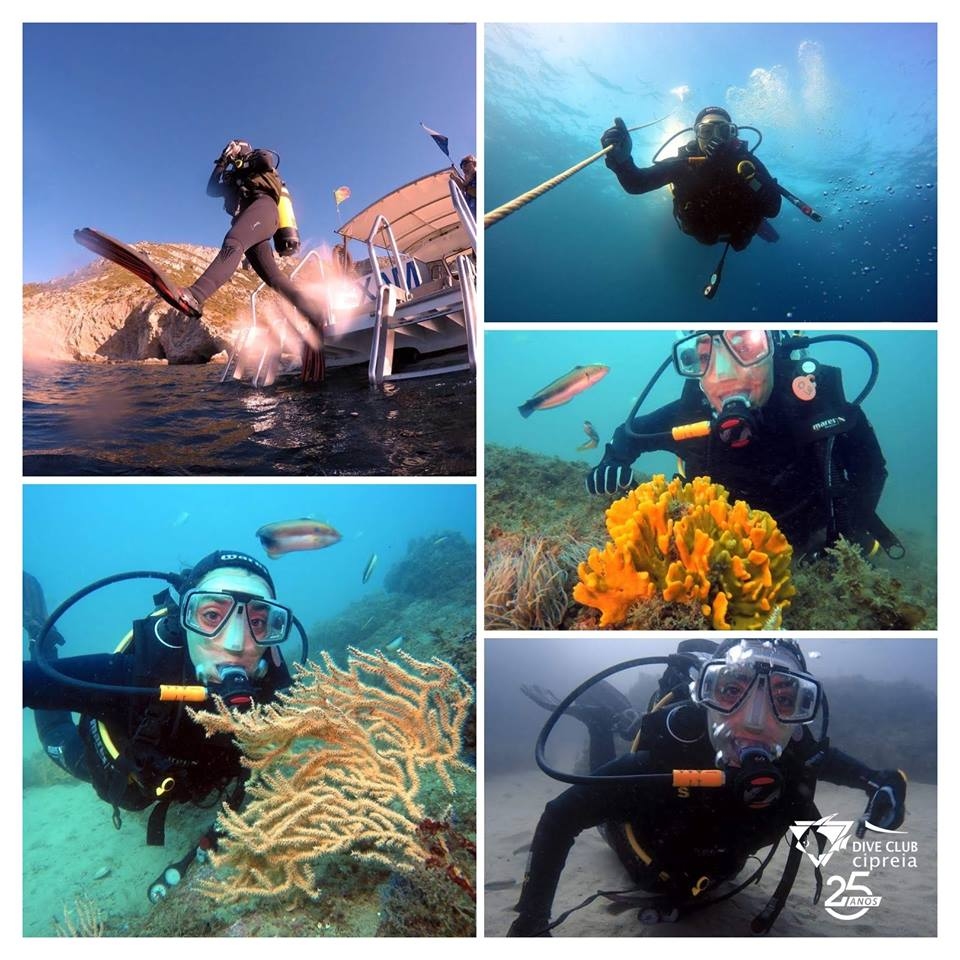 Scuba diving Lagos - Boat Trips Vilamoura